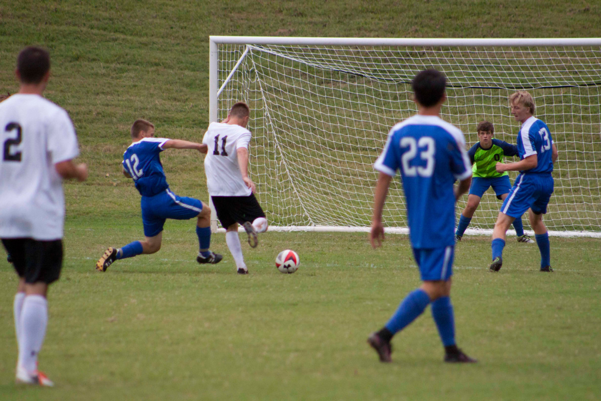Gibbons2